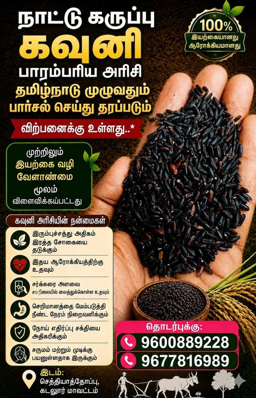 கருப்பு கவுனி அரிசி 
